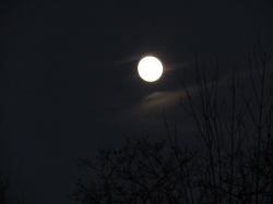 moonthank03.jpg