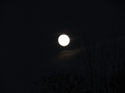 moonthank04.jpg