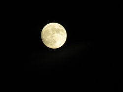 moonthank07.jpg