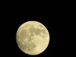 moonthank09.jpg
