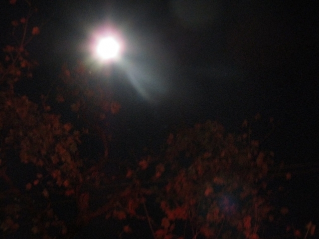 Keywords: Halloween