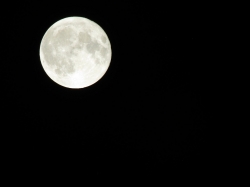 halmoon1.jpg