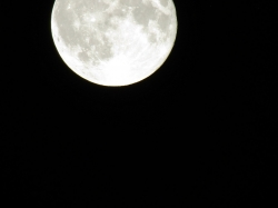 halmoon2.jpg