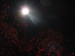 halmoon3.jpg