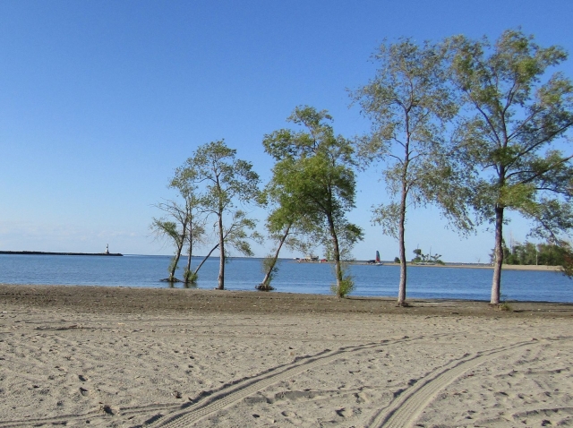 beach1.jpg