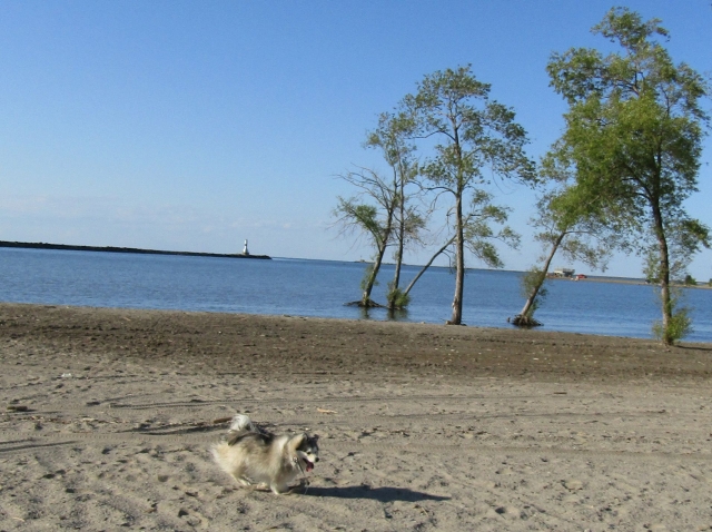beach3.jpg