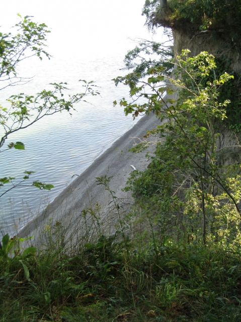 pa10.jpg