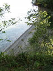 pa10.jpg