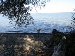 Filename=pa27.jpg
Filesize=4756KiB
Dimensions=3000x2249
Date added=Oct 25, 2022 pa27.jpg