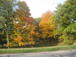 fall1619.jpg