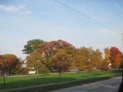 fall1620.jpg
