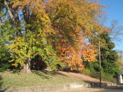 fall1626.jpg
