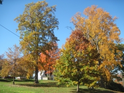 fall1629.jpg
