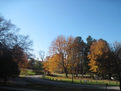 fall1630.jpg