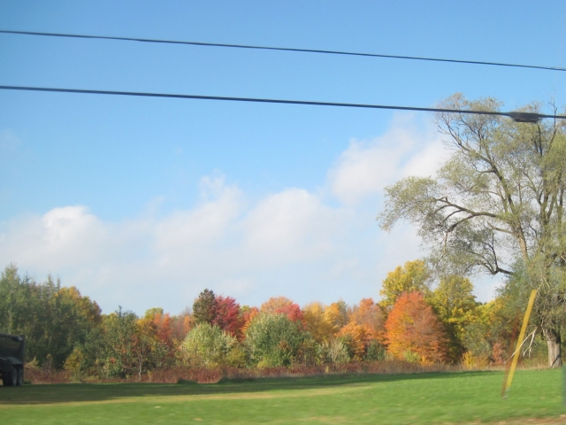 fall15002.jpg