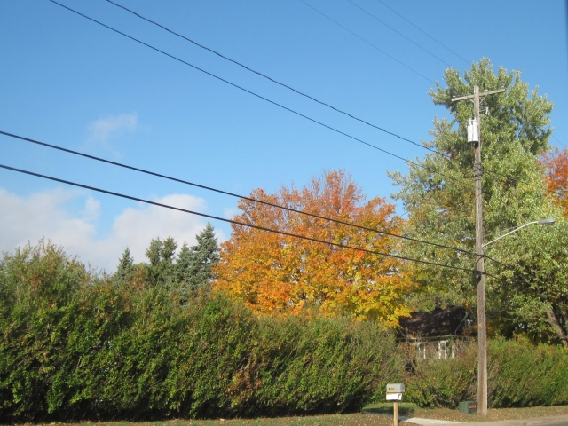 fall15003.jpg