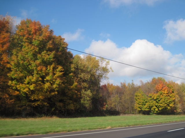 fall15009.jpg