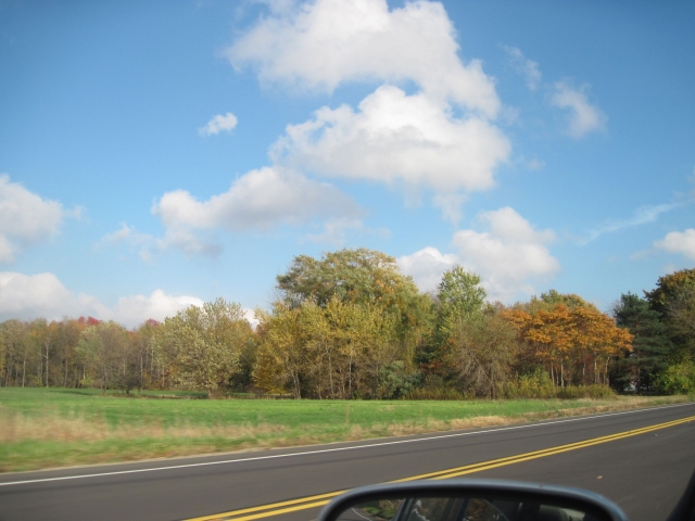 fall15010.jpg