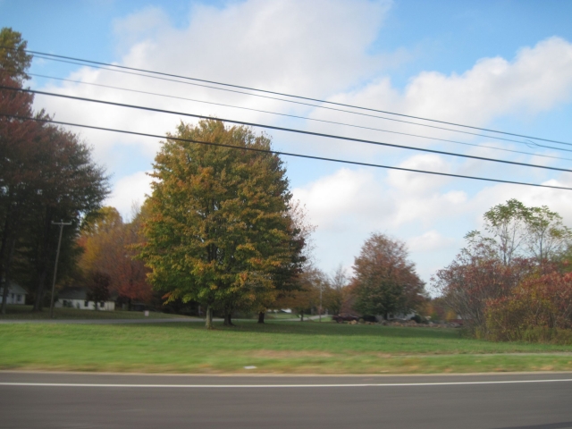 fall15012.jpg
