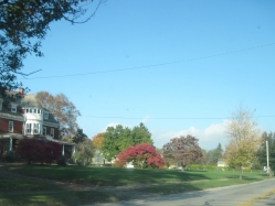 fall15001.jpg