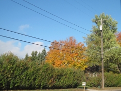 fall15003.jpg