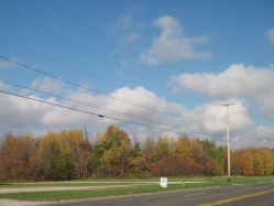 fall15004.jpg