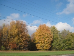 fall15005.jpg