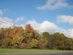 fall15006.jpg