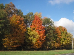 fall15008.jpg