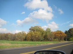 fall15010.jpg