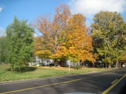 fall15011.jpg