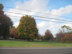 fall15012.jpg