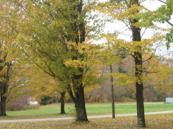 fall15013.jpg