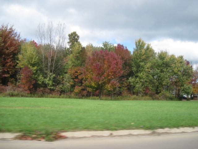 fall1401.jpg