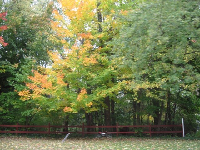 fall1402.jpg