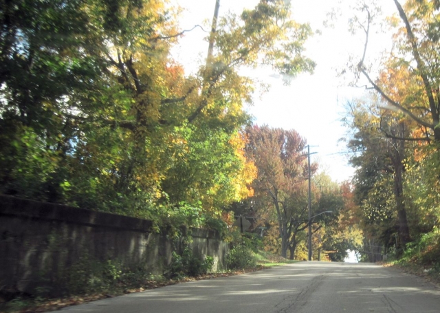 fall1407.jpg