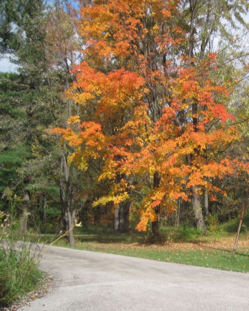 fall1408.jpg