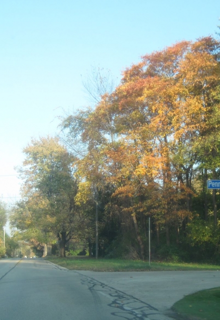 fall1409.jpg