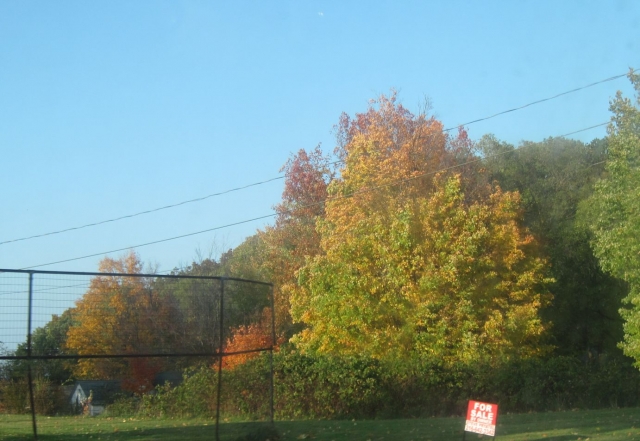 fall1410.jpg
