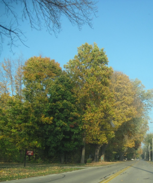 fall1411.jpg