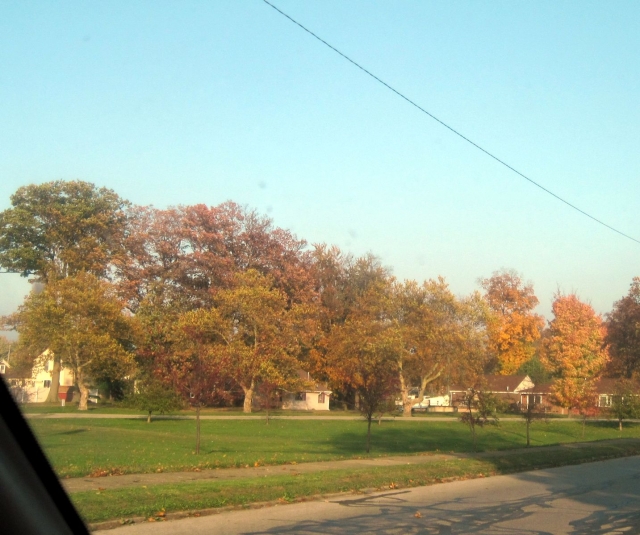 fall1414.jpg