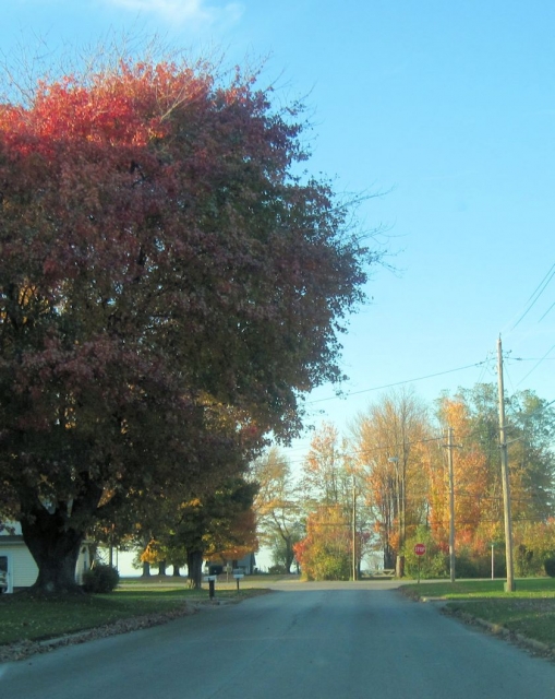 fall1416.jpg
