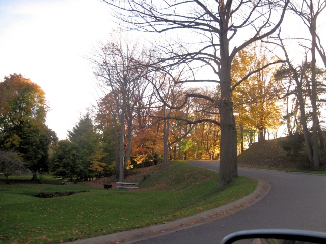 fall1420.jpg