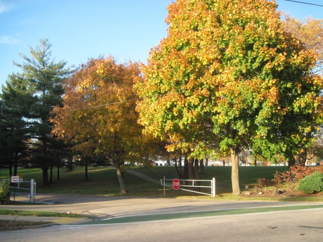 fall1427.jpg