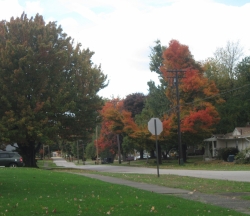 fall1403.jpg