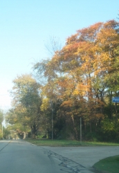 fall1409.jpg