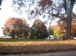 fall1413.jpg