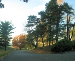 fall1418.jpg