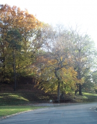 fall1419.jpg
