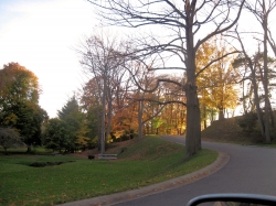 fall1420.jpg